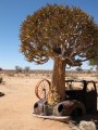 Namibia, Hochzeit, Reise, Bilder, Fotos - img_4084.jpg